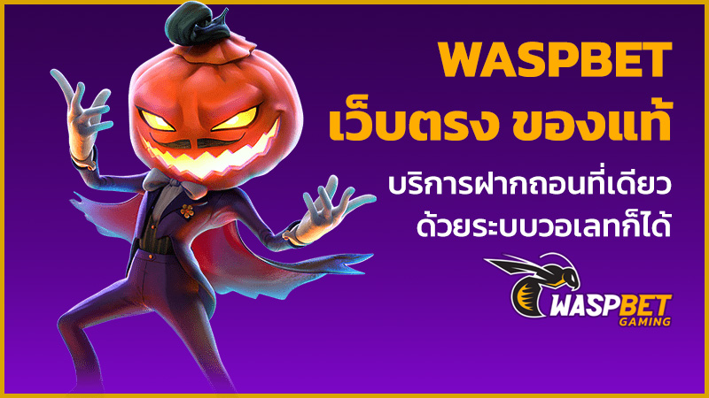 waspbet เว็บตรง 