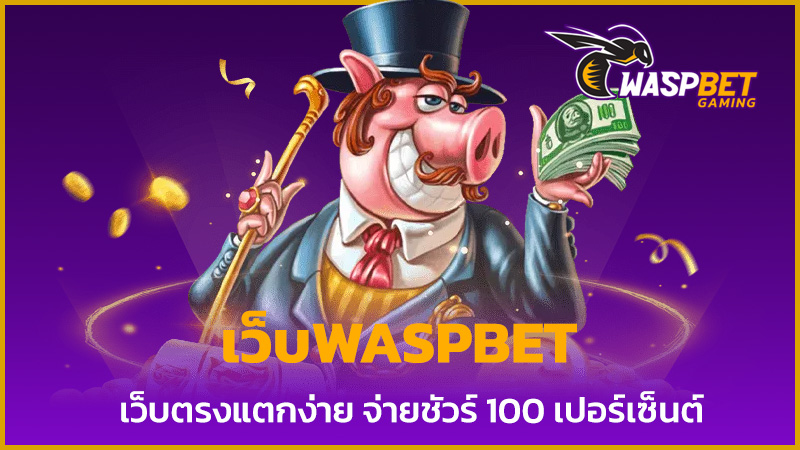 เว็บwaspbet